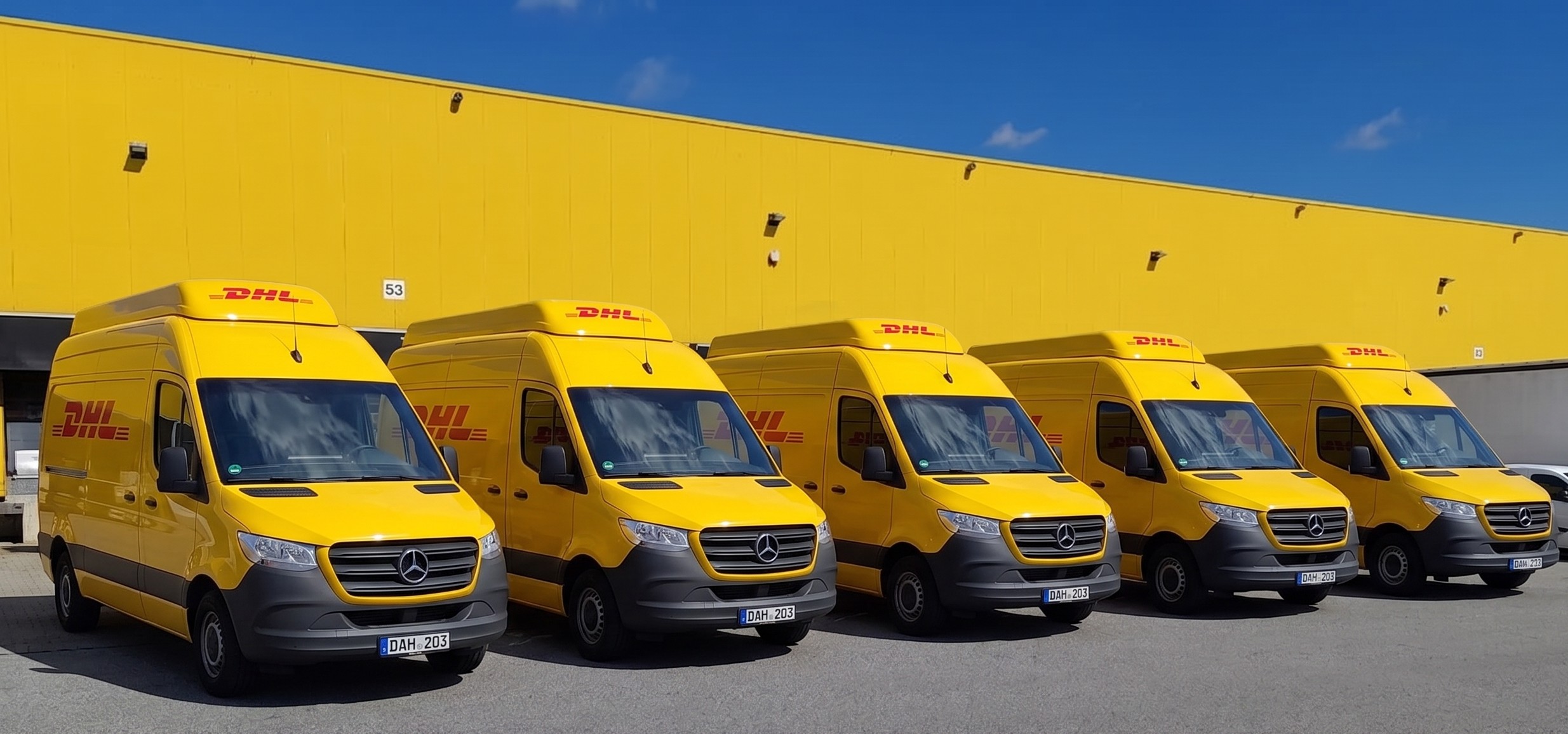 Transporter & Sprinter